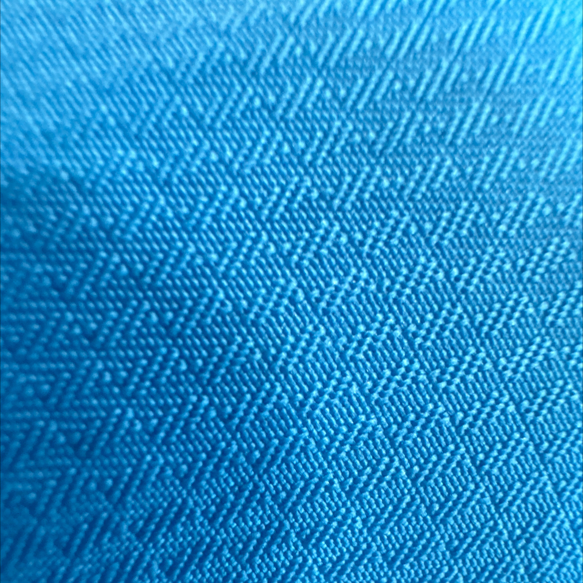 Avatar for @Plant2022 on Greg, the plant care app