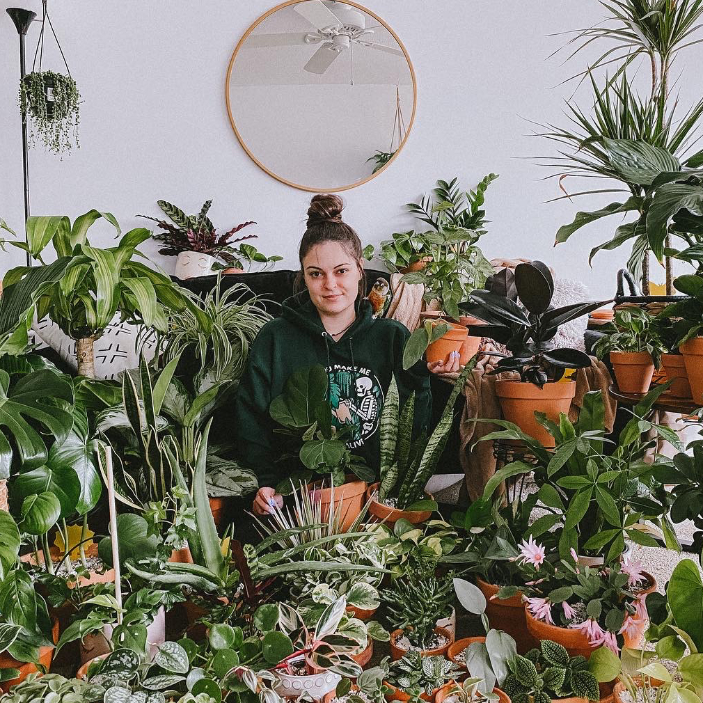 Avatar for @lyshuhh on Greg, the plant care app