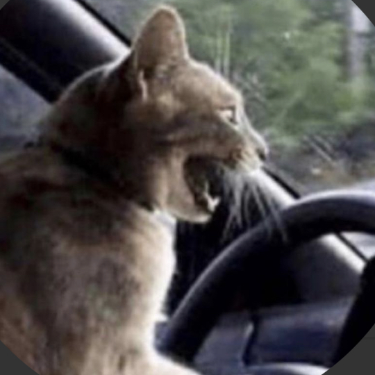 Avatar for @ShurvyPants303 on Greg, the plant care app