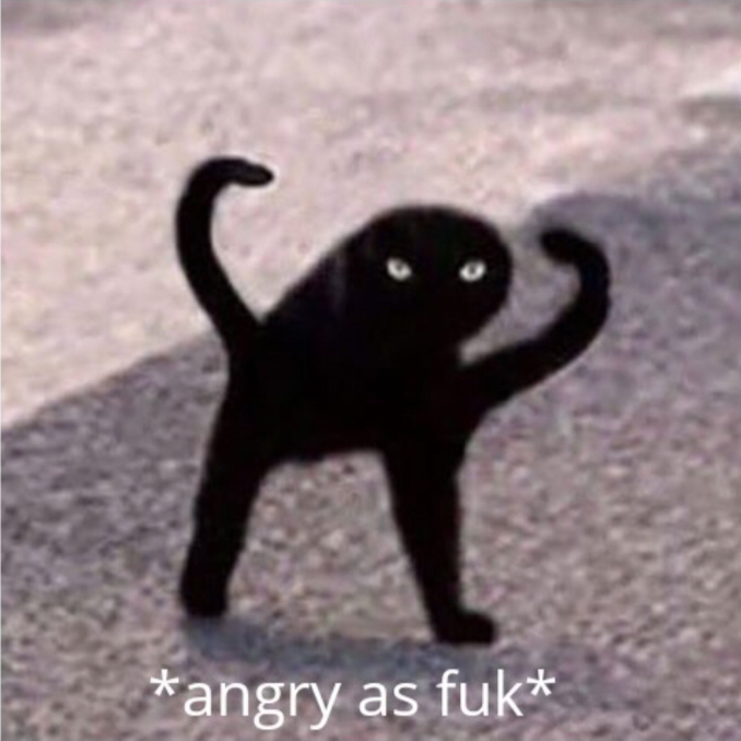 @CactiAreOfficiallyCalledStabbyBois avatar