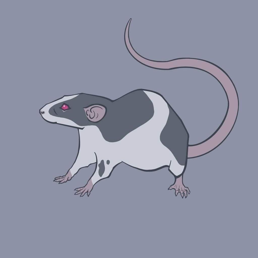 Avatar for @RookDarkly on Greg, the plant care app