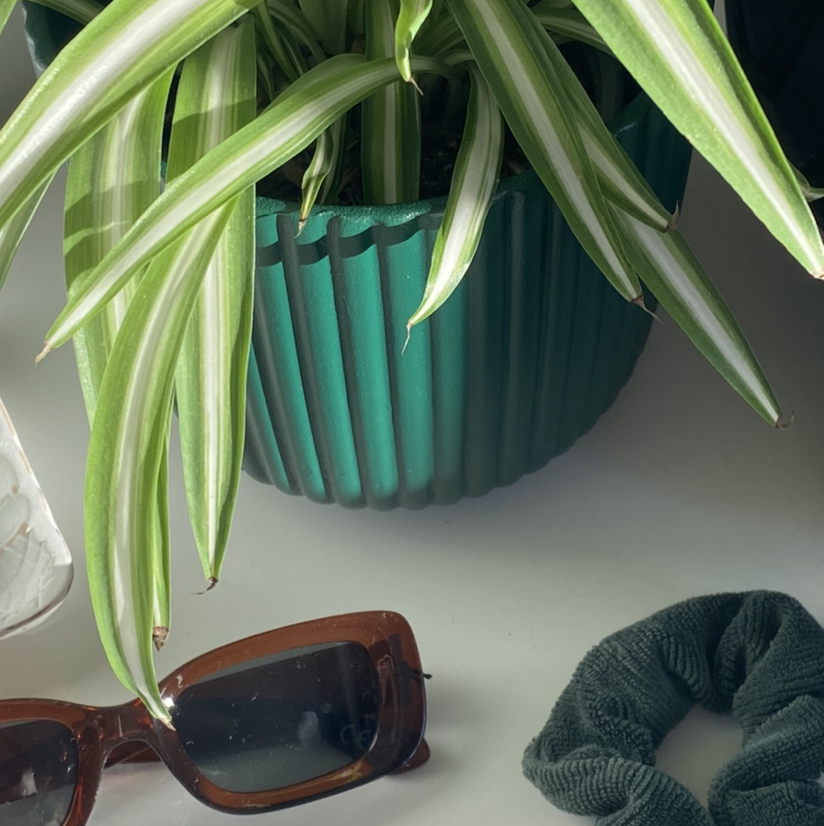 @thehalfbloodprince avatar