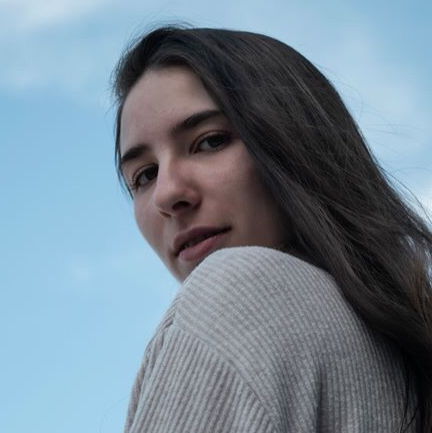 @Silenfox avatar