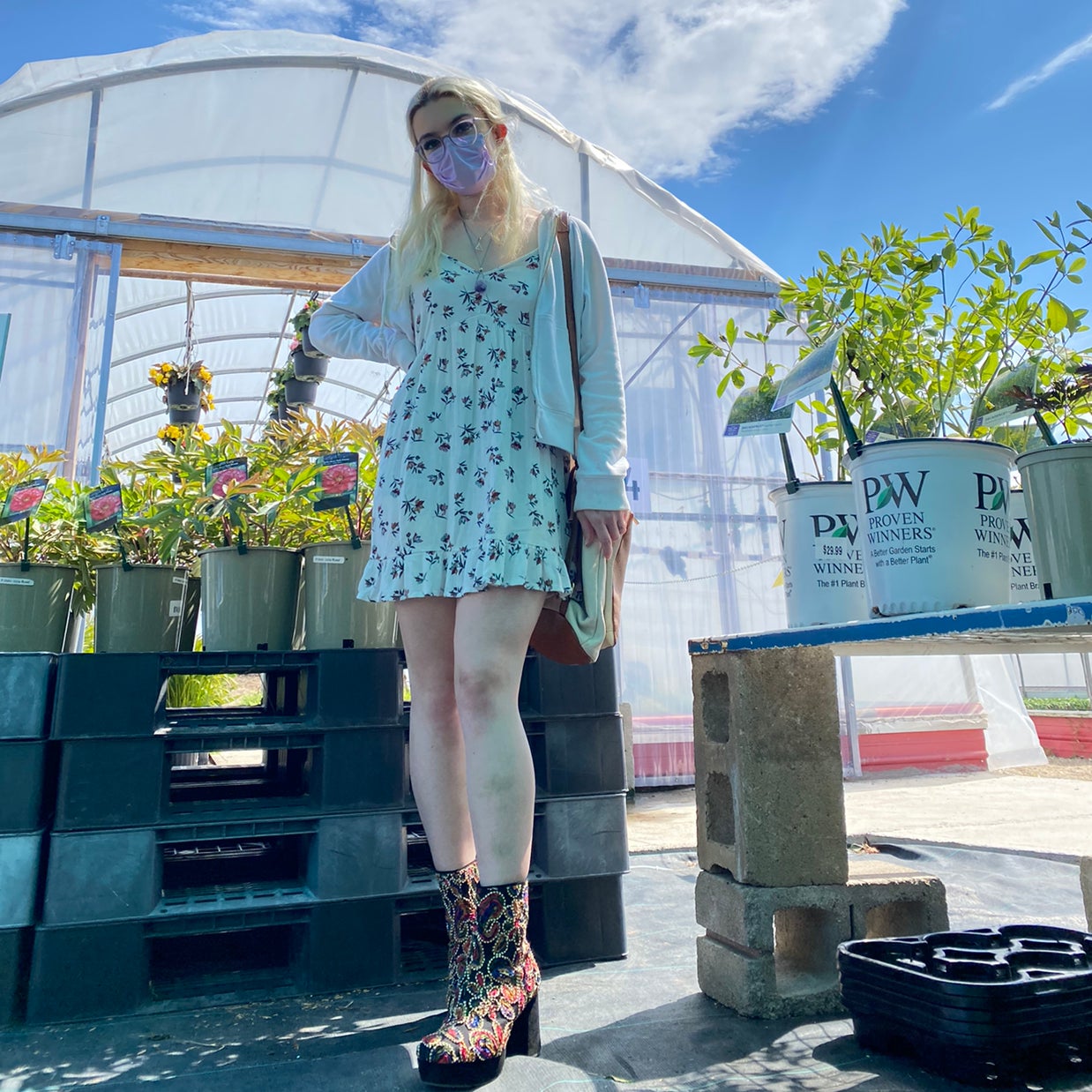 Avatar for @Sophia90012 on Greg, the plant care app