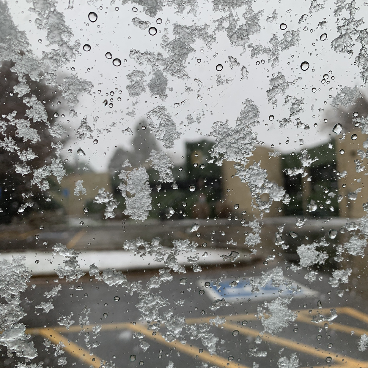 Avatar for Karen on Greg, the plant care app