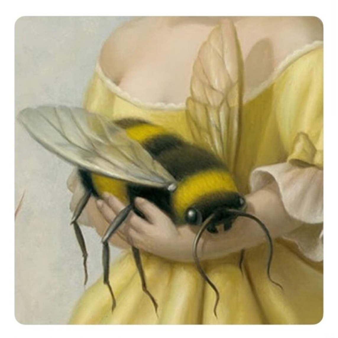 Avatar for @SecretlySelkie on Greg, the plant care app