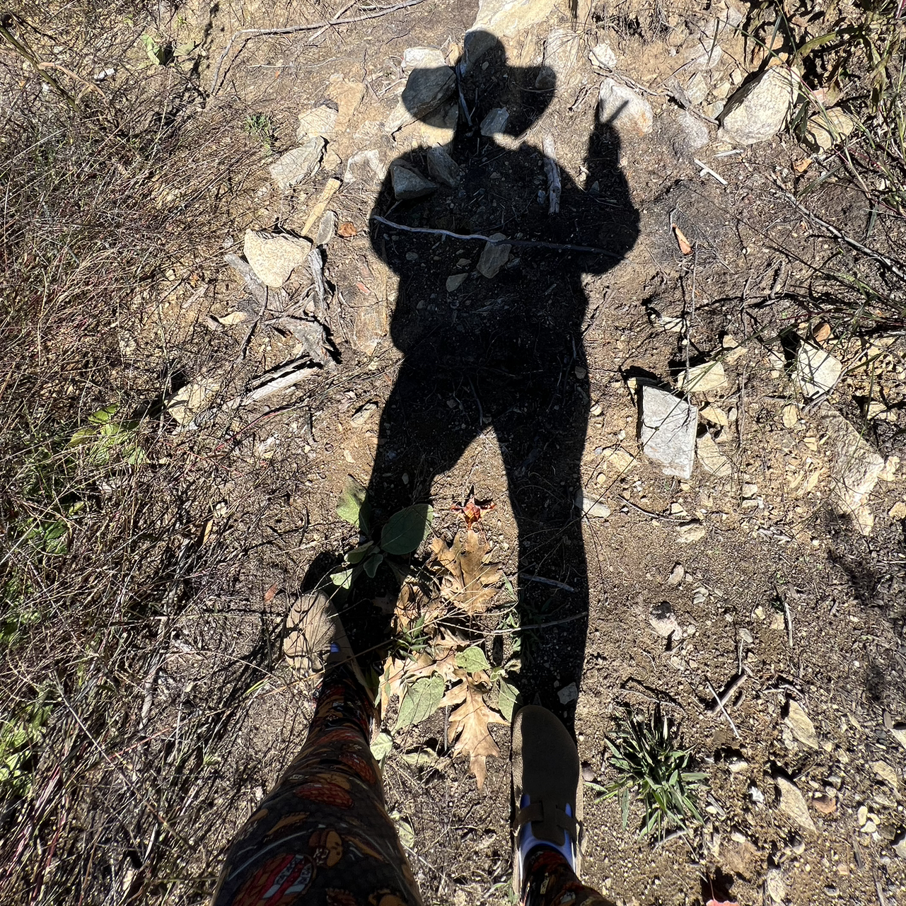 Avatar for @CMEintheWoods on Greg, the plant care app