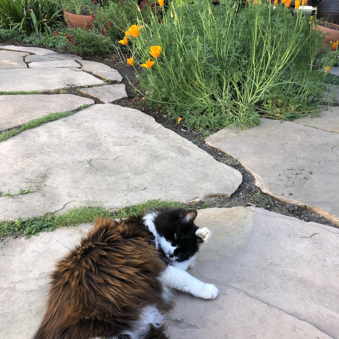 Avatar for @Fruitlegs on Greg, the plant care app