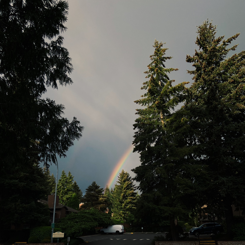 Avatar for @yifanxiao on Greg, the plant care app