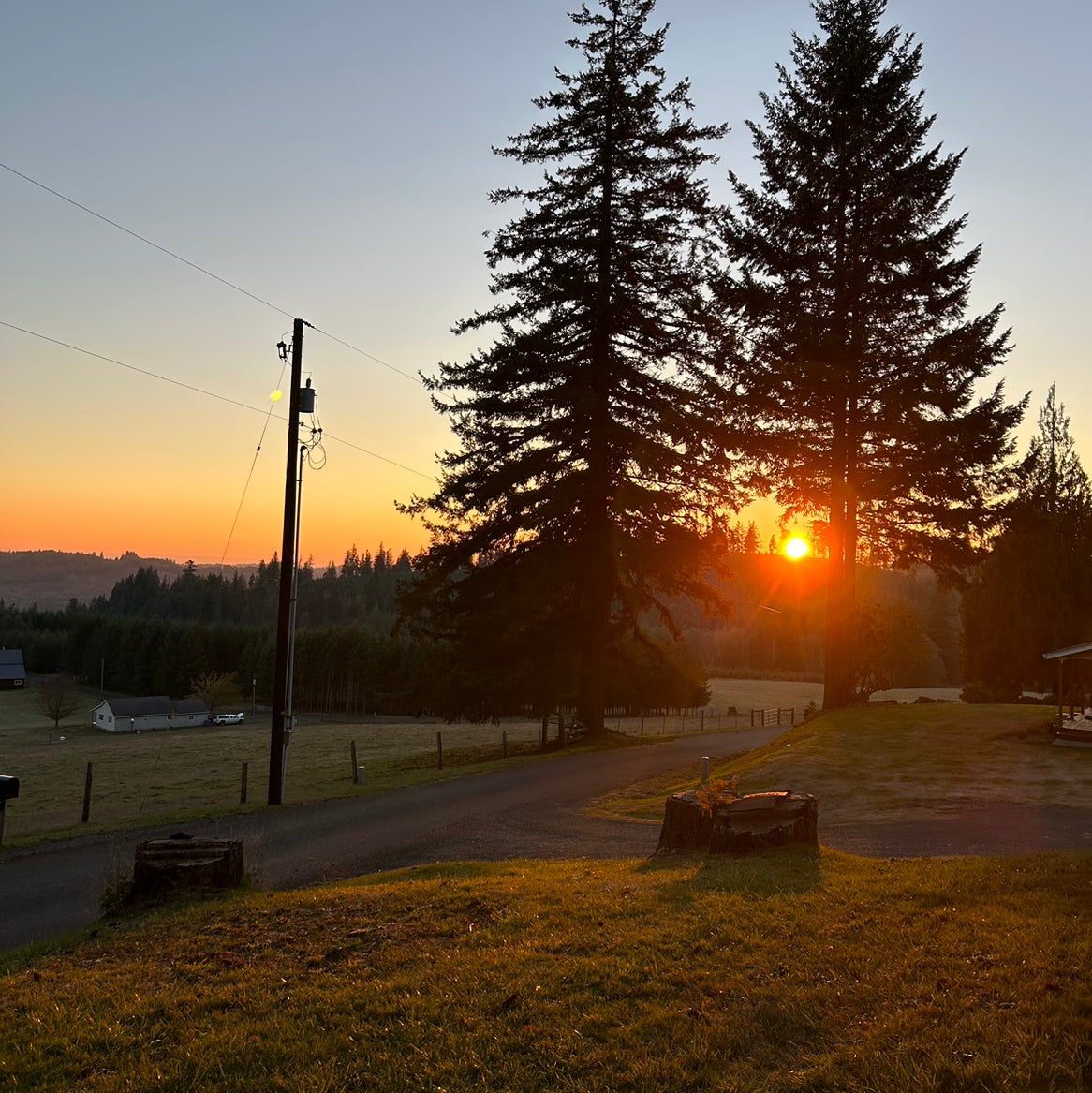 @terrbear1965 avatar