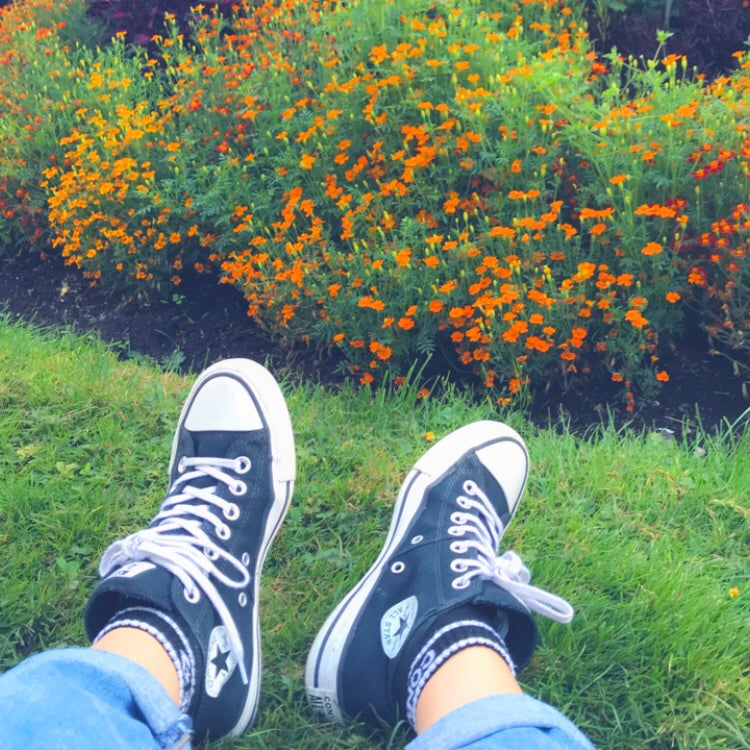 Avatar for @isadora.b on Greg, the plant care app