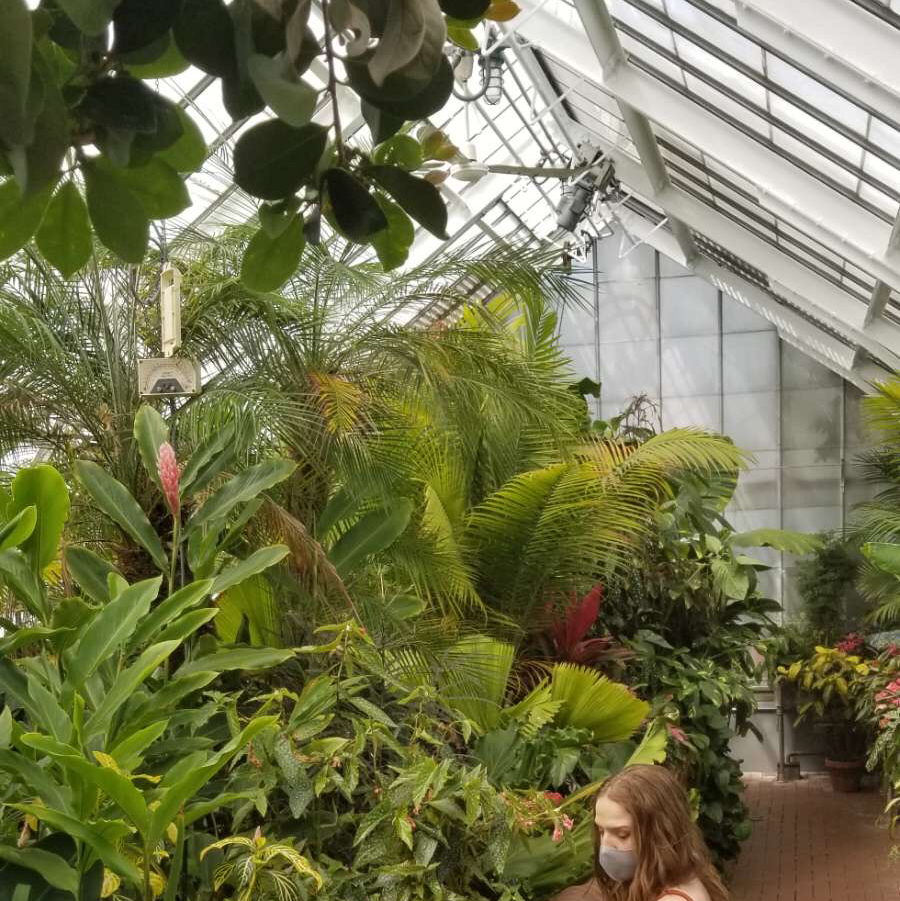 Avatar for @Christym on Greg, the plant care app