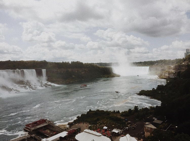 Avatar for @rangosinhaler on Greg, the plant care app