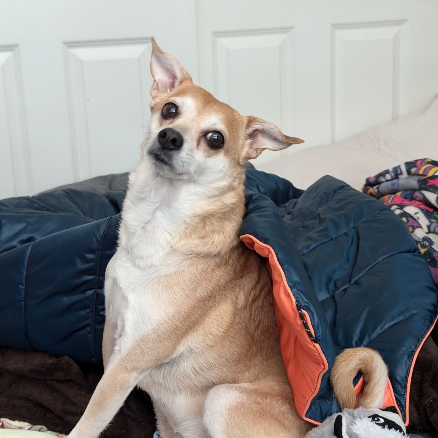 Avatar for @kraelik on Greg, the plant care app