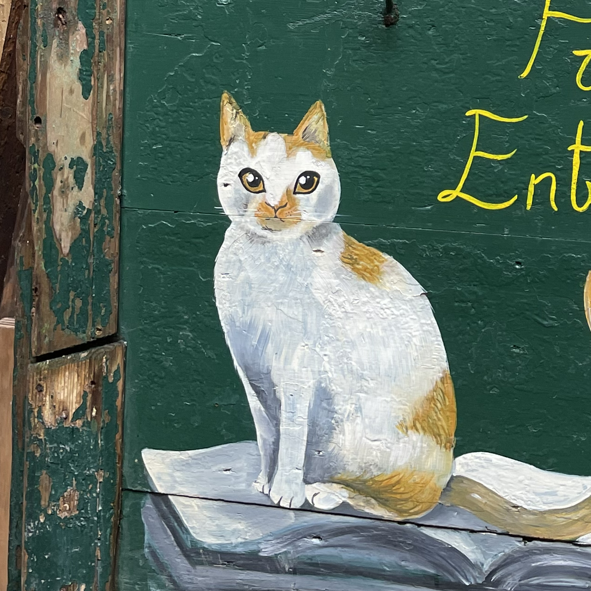 Avatar for @Molomolo on Greg, the plant care app