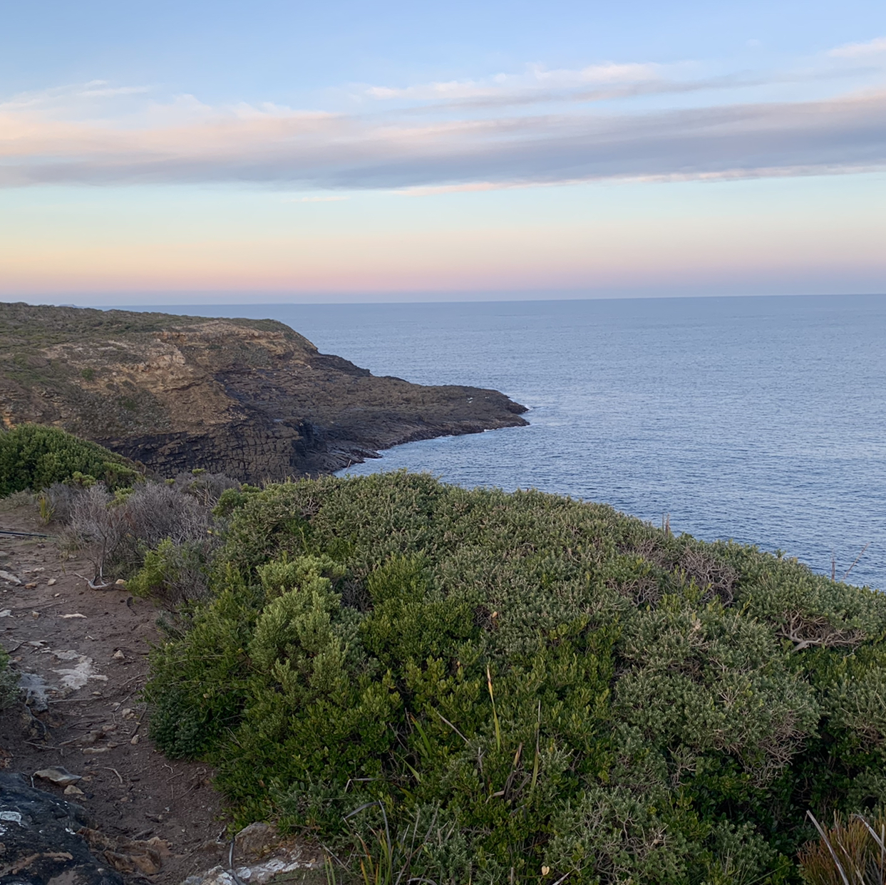 Avatar for @siennasplantheaven on Greg, the plant care app