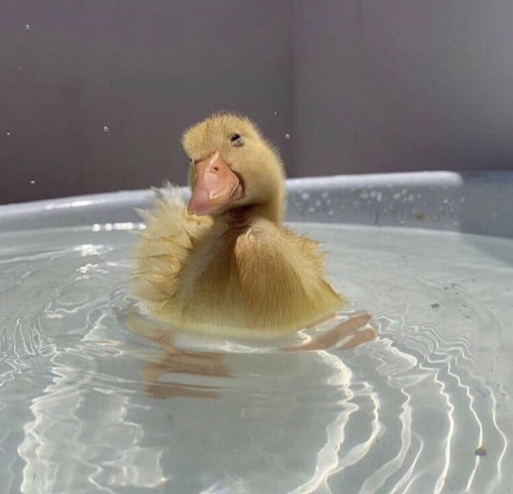 Avatar for @AlexiaM on Greg, the plant care app