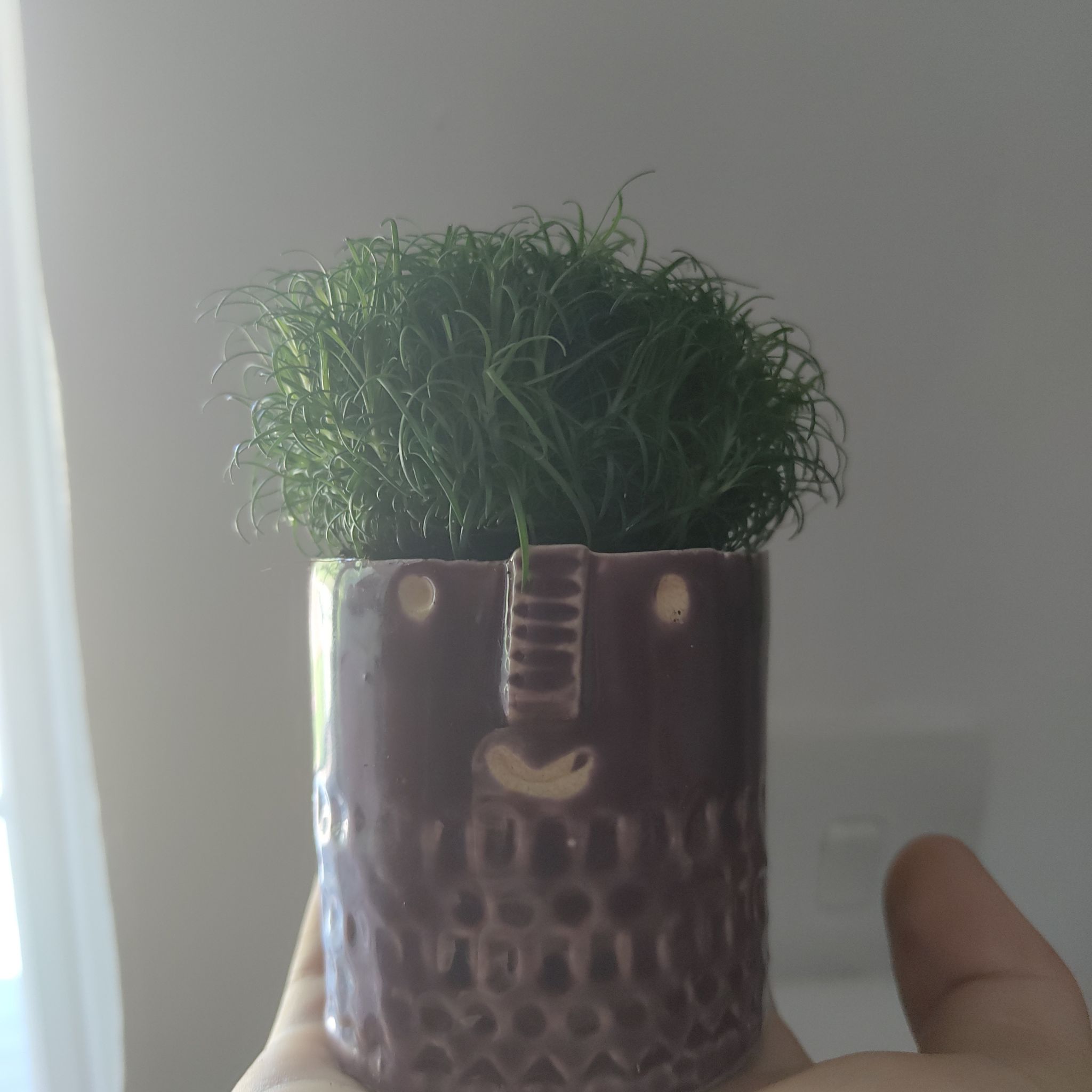 Avatar for @Cuppy on Greg, the plant care app