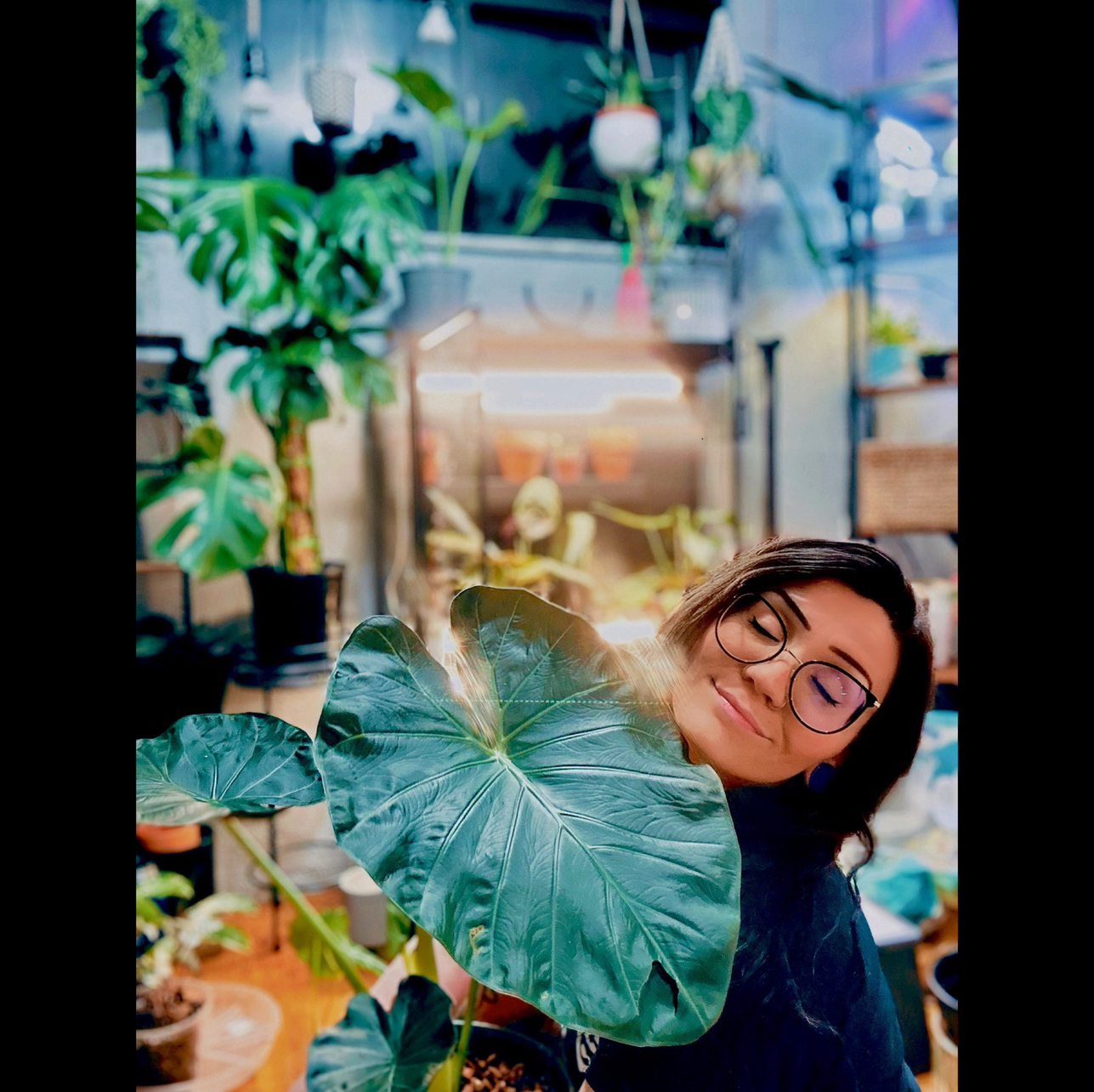 Avatar for @LoBotanizeMe on Greg, the plant care app