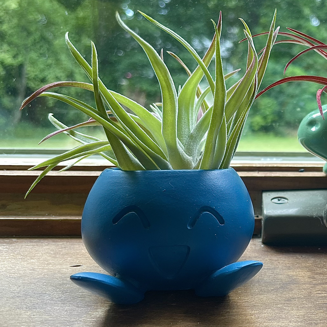 Avatar for @Snowqueenpothoe on Greg, the plant care app