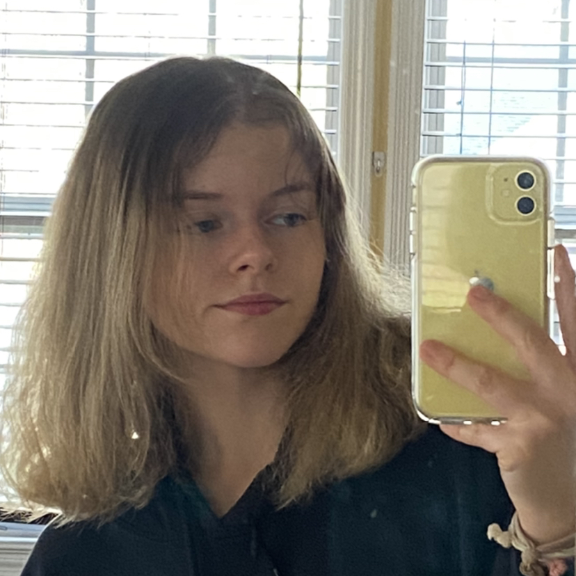 @al.yssapaige avatar