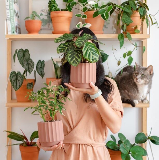 @plantmama459 avatar