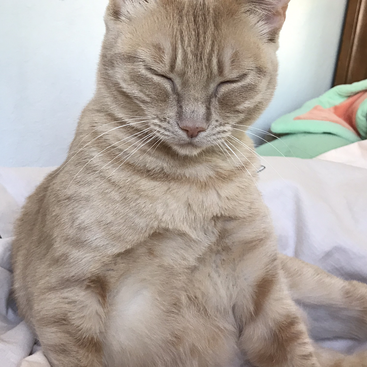 @Bees_Knees362 avatar