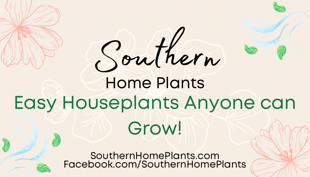 Avatar for @SouthernHP on Greg, the plant care app