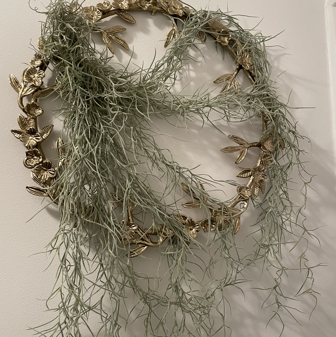 Spanish Moss