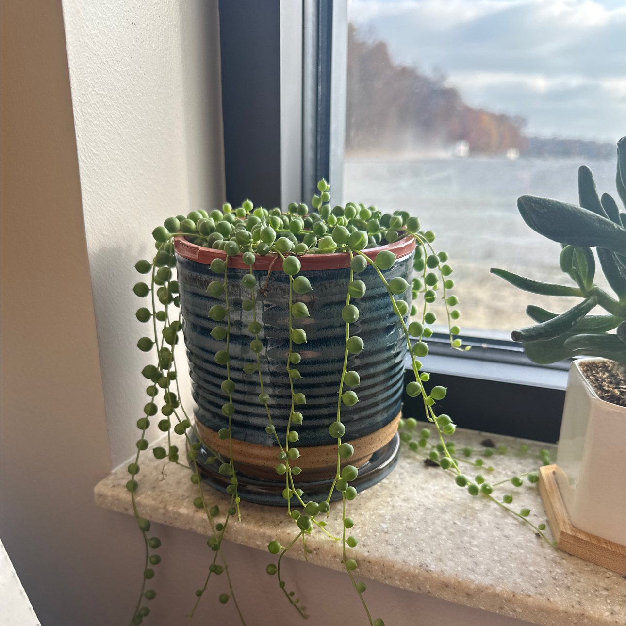 String of Pearls