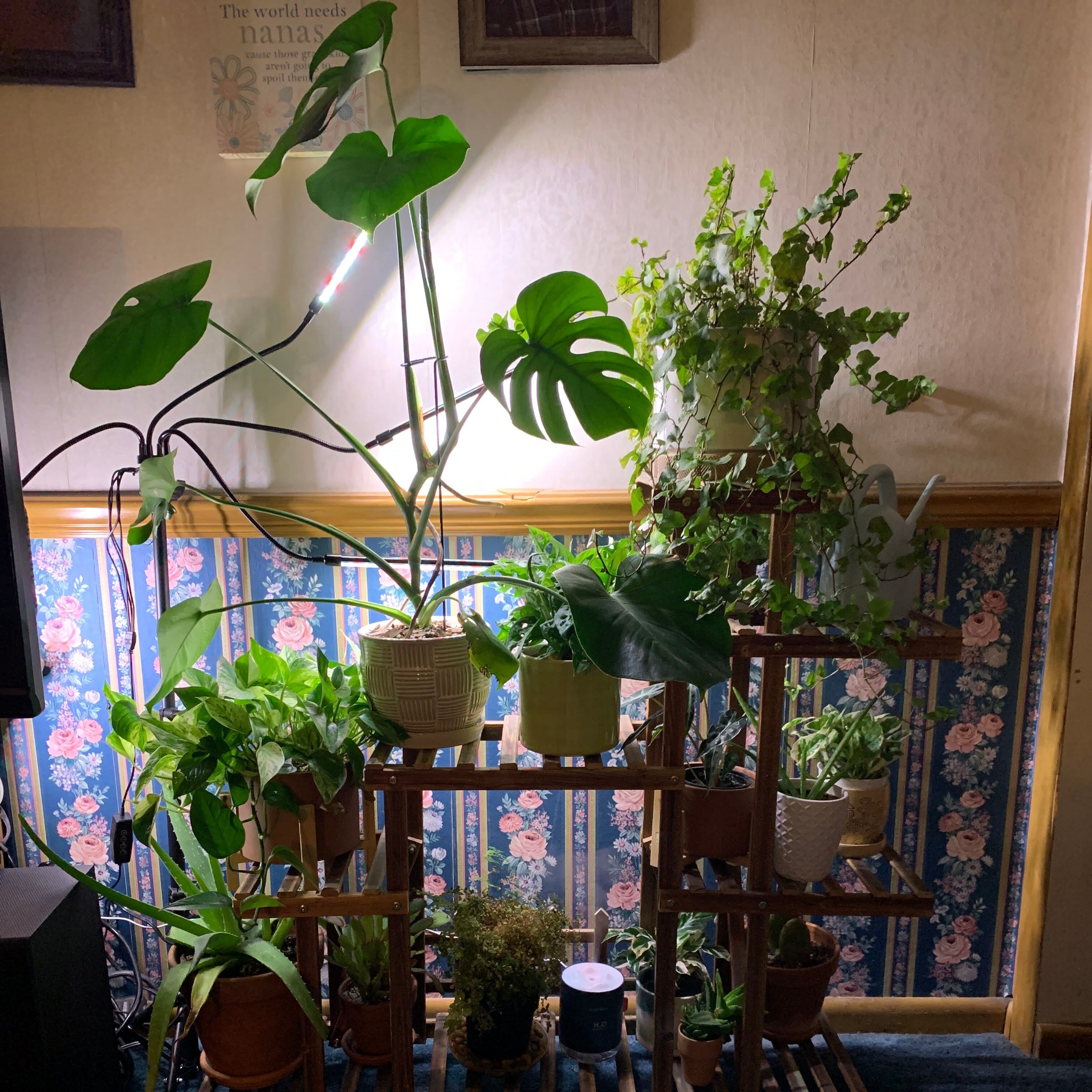 #GrowLights